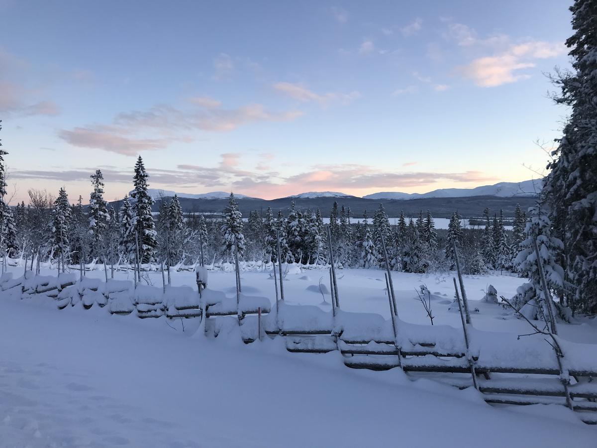 Ottsjoe Bear Lodge Bagian luar foto